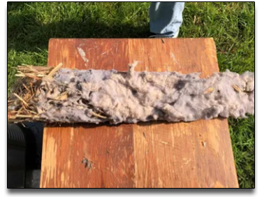 Lint removed from a dryer vent during cleaning